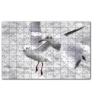 Cakapuzzle İki Martı Yakın Çekim Flu Deniz Arkaplan Puzzle Yapboz MDF (Ahşap) (120 Parça)