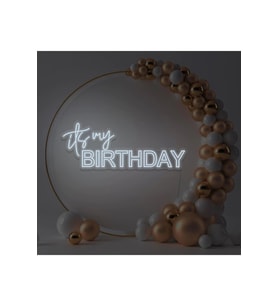 its my BIRTHDAY Yazılı Neon Tabela