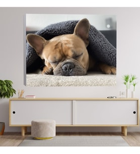 Bulldog Köpek Temalı Dekoratif Kanvas Tablo