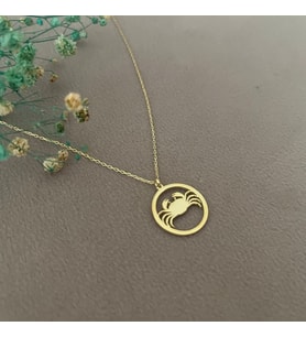Kişiye Özel 925 Ayar Gümüş Yengeç Burcu Kolye