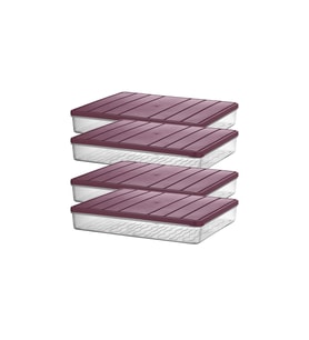 4'lü 2,25 Lt. Organizer Buzdolabı ve Buzluk Saklama Kabı Seti