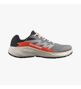 Salomon L47975300 Alphaglide Gtx Erkek Koşu Ayakkabısı