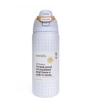 Owala 32 Oz Desenli FreeSip Kapaklı Vakumlu Spor & Outdoor Çelik Termos (Tatlı Gri)