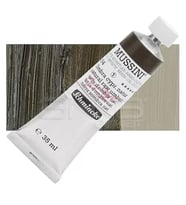 Mussini 35ml Yağlı Boya Seri:1 No:664 Naturel Raw Umber