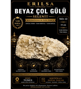 Sertifikalı Beyaz Çöl Gülü Selenit Taşı Kütle - 15 cm Koleksiyonluk Doğal Tek Parça