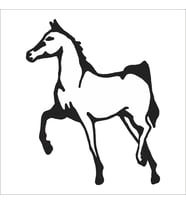 AT FOLYO STİCKER 100cm Uzunluk (Karışık)