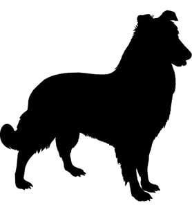 KÖPEK FOLYO STİCKER 20cm uzunluk (Karışık)