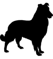 KÖPEK FOLYO STİCKER 20cm uzunluk (Karışık)