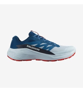 Salomon ALPHAGLIDE Erkek Ayakkabısı L47724300 (Çok Renkli)