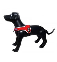 ANS Lüx Ayarlanır Köpek Göğüs Tasması Gövdesi 56-75cm