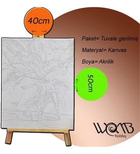 Soyut Aslan Sayılarla Boyama Seti 40x50 cm (Tuvale Gerili)