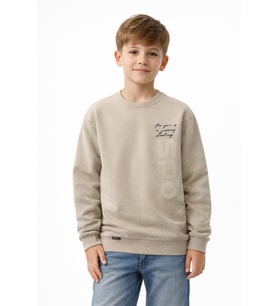 Erkek Çocuk Önü Baskılı Sweatshirt BGL-ST05233 (Taş)