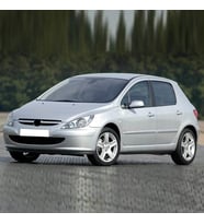 Peugeot 307 2001-2004 Sağ Ön Yolcu Güneşlik Gri 8143HL