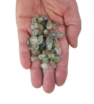 50 Gram Prehnit Tamburlu Küçük Parçalar 209-8