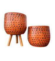 Bıtkı Tasarımı Siyah Nokta Desenli Terakota Saksı & Saksılık Dekoratif Salon Çiçekliği Ayaksız-3 Ayaklı 15 CM