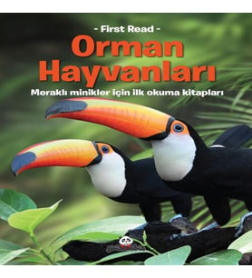 Orman Hayvanları