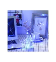 Pilli 5 metre Dekoratif Peri Led Beyaz Aydınlatma Süsleme Lambası GO-53-vice 00856