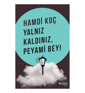 Yalnız Kaldınız, Peyami Bey!