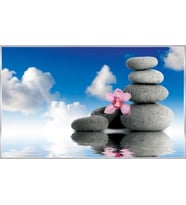 PROWALL POSTER DUVAR KAĞIDI 849 8 PARÇA (3.68mt X 2.54mt)