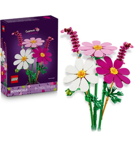 LEGO Botanicals Kozmos Çiçekleri 11514 - 9 Yaş ve Üzeri Çocuklar için Dekoratif Model Yapım Seti (17