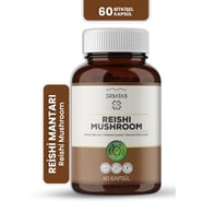 Reishi Mantarı Ekstresi 60 Kapsül