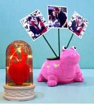 Kişiye Özel Hediye Seti 3 Fotoğraflı Sevimli Pembe Kaplumbağa ve Led Işıklı Fanus (Model 1)