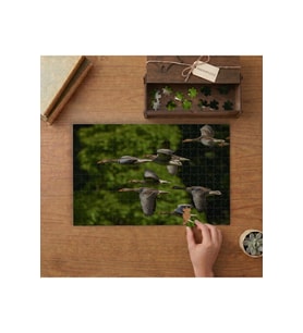 Uçan Kaz Sürüsü Tasarımı 240 parça Ahşap Puzzle Ahşap Kutuda MP03048