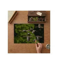 Uçan Kaz Sürüsü Tasarımı 240 parça Ahşap Puzzle Ahşap Kutuda MP03048