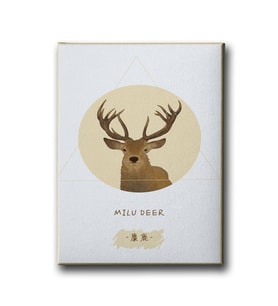 Geyikli Modern Canvas Tablo MİND420