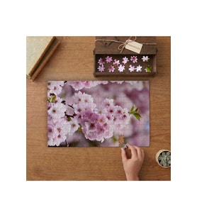 Japon Kiraz Çiçeği Tasarımı 240 parça Ahşap Puzzle Ahşap Kutuda MP05228