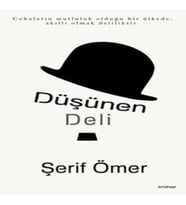 Düşünen Deli