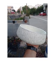 Mermer tozundan yapılma beton bonsai ve aranjman saksısı