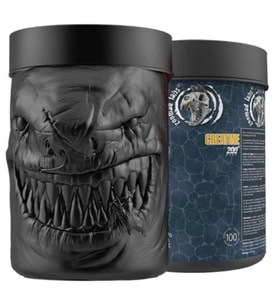 ZOOMAD LABS CREATİNE 300 GR