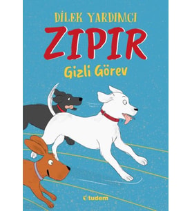 Zıpır Gizli Görev