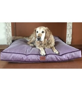 Kedi Köpek Minderi Mor