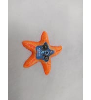 Turuncu Deniz Yıldızı Tasarım Epoksi Mıknatıslı Magnet Kemer Yazılı Buzdolabı Süsü
