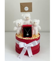 KAR TANESİ KOLYELİ PELUŞ AYICIK BUKETİ