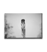Siyah  Beyaz  Canvas Tablo MSY118