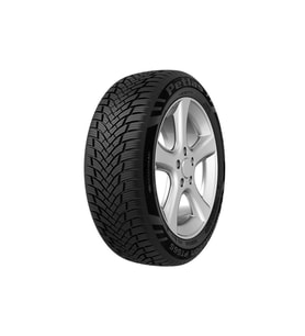 Petlas Multi Action PT565 195/65R15 95H RF M+S 3PMSF Otomobil 4 Mevsim Lastiği (Üretim Yılı: 2026)