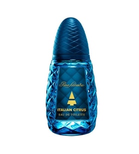 Pino Silvestre Italian Citrus EDT 125 ml Erkek Parfümü
