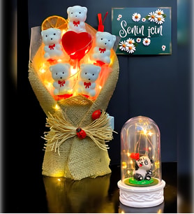 Premium Hediye Seti  Led Işıklı Sevimli Pandalı Fanus ve Led Işıklı Ayıcık Buketi