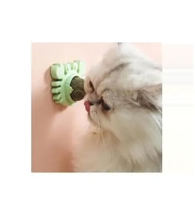 Yengeç Kedi Otu Oyun Topu