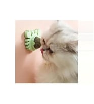 Yengeç Kedi Otu Oyun Topu