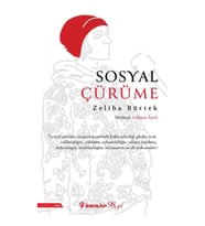 Sosyal Çürüme