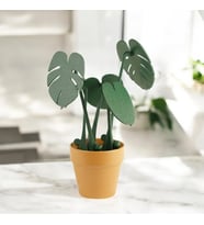 Monstera Bardak Altlığı - Kahve ve Fincan Altlığı - Hediye Çiçek - Evde, Ofiste, Her Yerde Estetik ve Işlevsellik