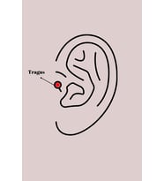 316L Çelik Gümüş Renk Zirkon Taşlı Ay Yıldız Model Tragus Piercing 5886 - HPSBYI3134-7445