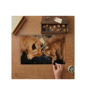 Keçiler Yakın Çekim Tasarımı 240 parça Ahşap Puzzle Ahşap Kutuda MP09962
