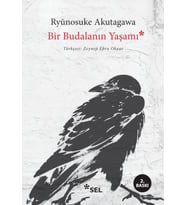 Bir Budalanın Yaşamı