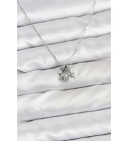 Pirinç Gümüş Renk Minimal Charmlı Kadın Kolye 5886 - SSSSSS7759-9700