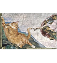 Kedi Köpek Komik Tasarımlı Dekoratif Kapı önü Paspas, Dış Mekan/Ev İçi/Banyo/Mutfak/Yatak Odası/Giriş Paspasları (Kedinin Yaratılışı, 40x60)